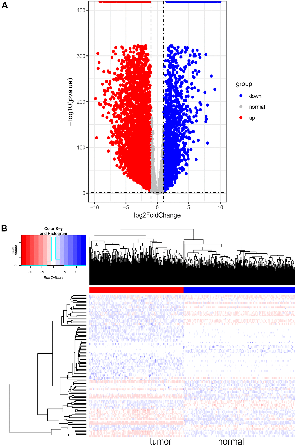 Differential expression analysis and heatmap of DE-lncRNAs in SKCM. (A) Volcano plot of 7836 DE-lncRNAs between SKCM and normal tissues. The Volcano plot was drawn with -log10 (p-value) as the vertical axis and log2 (Fold Change) as the horizontal axis. The dotted line was the threshold line. The horizontal dotted line represented p-value=0.05, and the vertical dotted line represented logFC1. The red dots represented significantly upregulated DE-lncRNAs and the blue dots represented significantly downregulated DE-lncRNAs in SKCM tissues. The grey dots represented genes that were not differentially expressed. (B) Heat map of randomly selected 100 DE-lncRNA genes between SKCM and normal tissues. The red and blue bars represented the tumor samples and normal samples, respectively. And the evolution from red to blue represented the expression level of genes. The bluer zones indicated higher expression while the redder zones indicated lower expression.