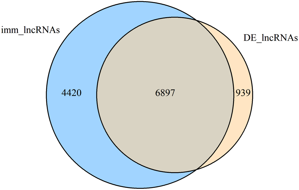 Venn diagram showing the number of common lncRNAs within DE-lncRNAs and immlncRNAs (DE-immlncRNAs).