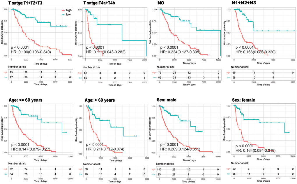 Stability Analysis of the model. K-M curves drawn within different subgroups according to high- (red) and low-(green)risk groups to verify whether the model was stable in different age, gender and tumor condition.