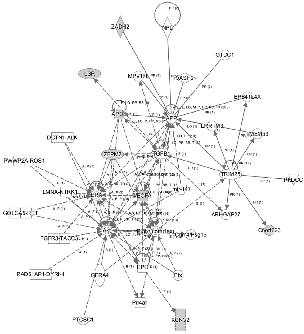 The network that links most of the identified genes that predict AD as generated by IPA tool.