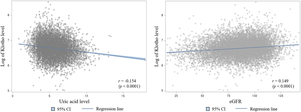 Scatter plot of log of klotho concentration with serum uric acid levels (Left) and estimated glomerular filtration rate (Right).