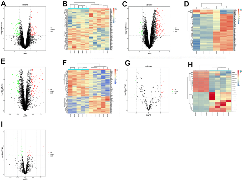 The screening of DEGs involved in MI. The volcano maps and heatmaps manifested the DEGs from GSE34198 (A, B), GSE97320 (C, D), GSE141512 (E, F), GSE24548 (G, H) and GSE76604 (I).