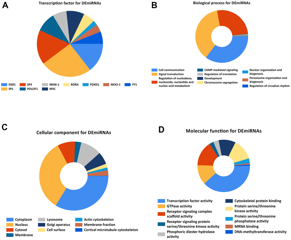 Gene ontology enrichment. (A). Identification of the potential transcription factors of DEMs by FunRich software. (B) biological process, (C) cellular component, and (D) molecular function enrichment analysis of the DEMs.