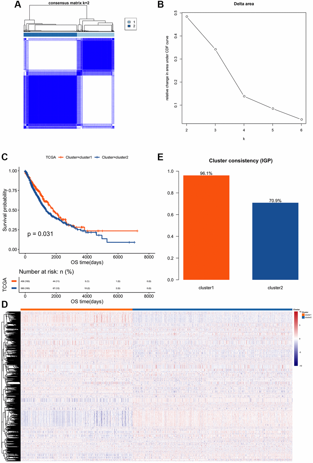 Clustering and survival analysis of feature edge perturbation matrix. (A) Based on the extracted 5468 feature edges, a consistent cluster analysis was performed according to their feature values, and 986 cancer samples were divided into two different subtypes. (B) Cumulative Distribution Function of Consistent Cluster Analysis. The abscissa axis represents the K value; the ordinate axis represents the relative change in area under CDF curve. (C) The prognostic survival curves of the two cluster subtypes. The abscissa axis represents the overall survival time; the ordinate axis represents the survival probability corresponding to different survival time points. (D) Z-score heatmap of eigenvalues of feature edges: Using hierarchical clustering method to perform cluster analyses on the extracted feature values, it is found that there are obvious specific feature differences between the two subtypes. (E) Validation of clustering performance of gene interaction perturbation: Using an independent data set (GSE50081) to verify the clustering performance of edge perturbation features. The larger IGP corresponds to the better consistency of the clustering group.