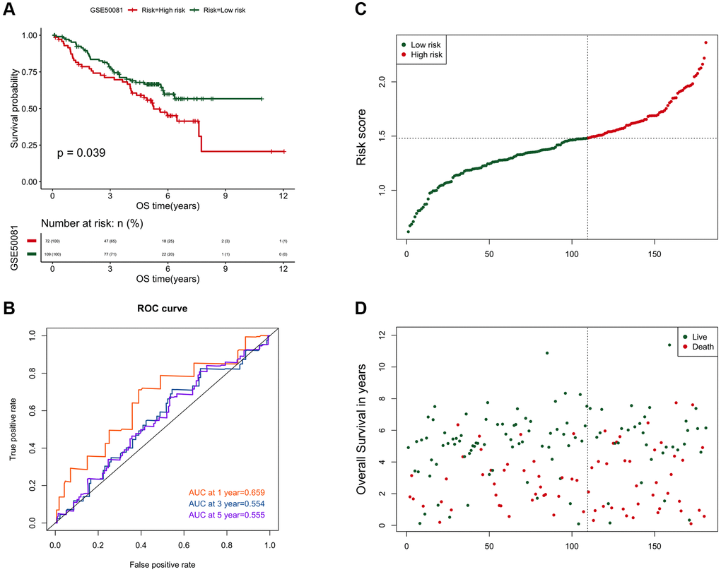 The verification result of the risk scoring model in the independent data set GSE50081. (A) Comparison of the prognosis between high and low risk groups in GSE50081. The abscissa axis represents the survival time (days); the ordinate axis represents the survival probability. (B) AUC curve of risk score on 1, 3, and 5-year survival prediction efficiency in GSE50081. (C) Risk score curve of the two groups in GSE50081. The abscissa axis represents the number of samples; the ordinate axis represents the risk score. (D) The ranking results of risk scores from small to large in GSE50081. The abscissa represents the number of samples, and the ordinate represents the survival time.