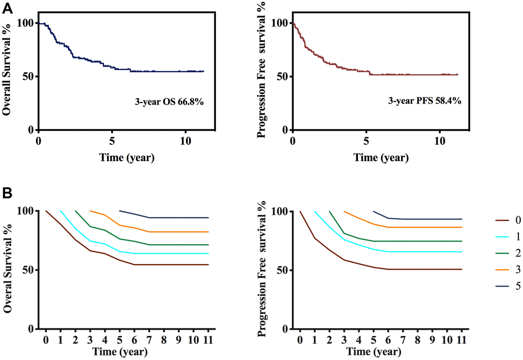Survival and conditional survival curves. (A) Overall survival and progression free survival after diagnosis. (B) Overall survival and progression free survival conditional on having survived 1, 2, 3, and 5 years after treatment in total 145 patients.
