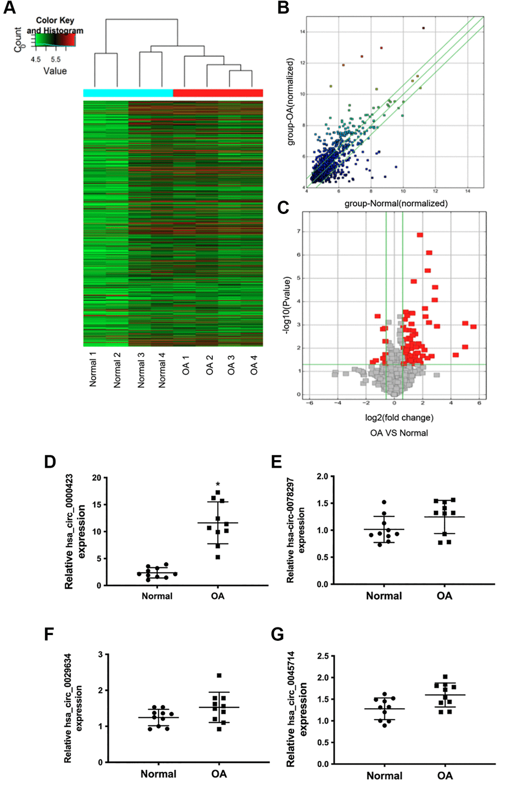 Differential expression of circRNAs in normal and OA specimens. (A) Hierarchical clustering analysis of the differentially expressed circRNAs between 4 individuals normal and 4 individuals OA specimens; (B) Scatter plot of circRNAs expression between normal and OA specimens. The circRNAs below the bottom green line and above the top green line illustrate >2.0-fold changes between the normal and OA specimens. (C) Volcano plots of the differentially expressed circRNAs. The red point in the plot represents the differentially down or up-regulated circRNAs with statistical significance. (D–G) Expression of significant circRNAs in normal and OA specimens.