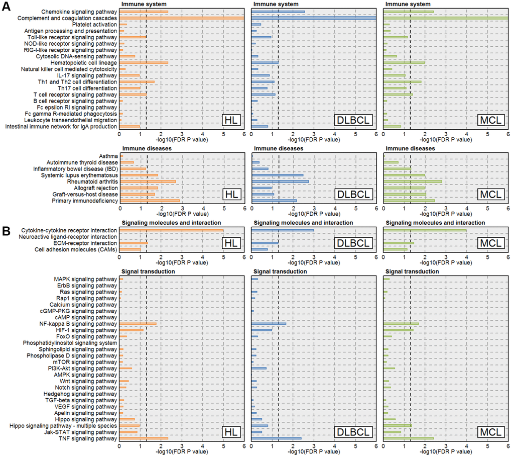 Immune function and signaling pathway enrichment result in three types of lymphoma. (A) Immune-related pathways enrichment results. (B) Signal transduction-related pathways enrichment results. The orange, blue and green lines represent the HL, DLBCL, and MCL, respectively. The line width indicates the enrichment percentage. The dotted line in the box indicates the significance threshold (FDR P-value = 0.05). Abbreviations: HL: Hodgkin's lymphoma; DLBCL: diffuse large B-cell lymphoma; MCL: mantle cell lymphoma.
