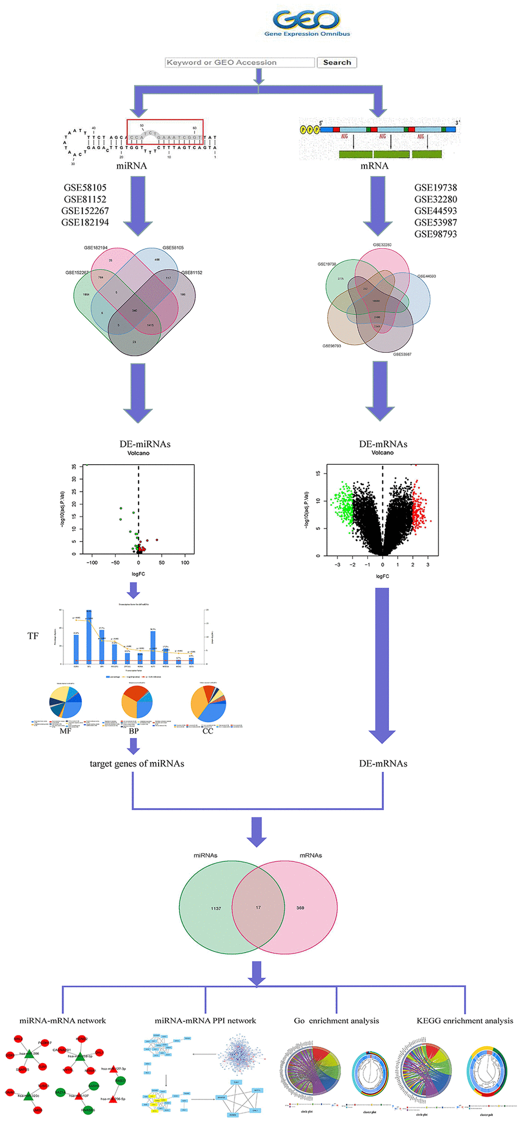 Framework based on an integration method for integrating miRNA-mRNA regulatory network analysis.