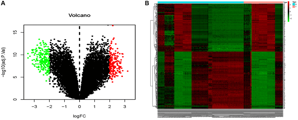 Volcano map and heat map of DE-mRNAs. (A) The volcano plot using log2|FC|≥2 and an adjusted p n = 181), blue dots represent downregulated DE-mRNAs (n = 205), and black dots represent non-DEmiRs. (B) A heat map depicting the expression variety of 386 DE-mRNAs across four miRNA chips; the color scale from blue to red represents expression levels ranging from low to high.