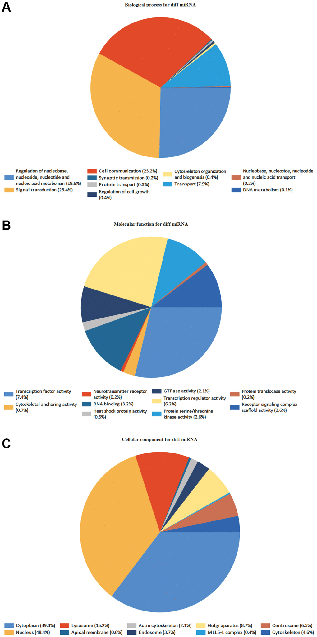 GO enrichment analyses of DE-miRNAs. The names and percentages of the top 10 (A) BPs, (B) MFs and (C) CCs are shown in a circle chart.