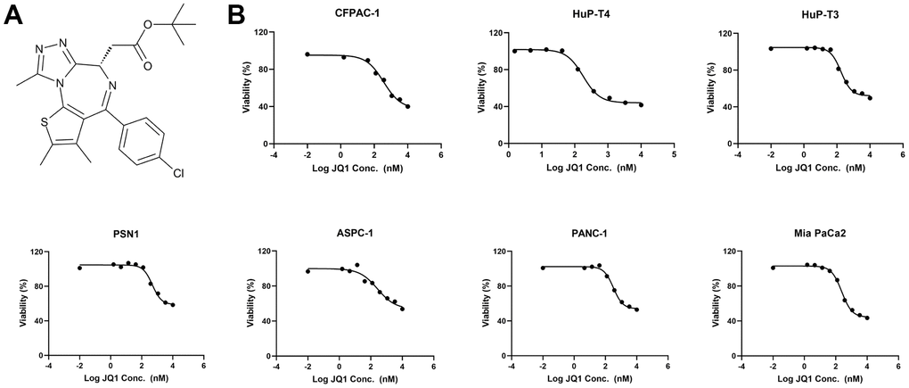 The BET inhibitor JQ1 suppresses KRAS mutant pancreatic cancer cells. (A) The structure of the BET inhibitor JQ1. (B) Fitting curve of cytostatic responses illustrated a decreasing concentration gradient of JQ1 treated with 7 KRAS mutant pancreatic cancer cell lines (AsPC-1, MIA PaCa-2, PANC-1, HuP-T4, HuP-T3, PSN1, and CFPAC-1).