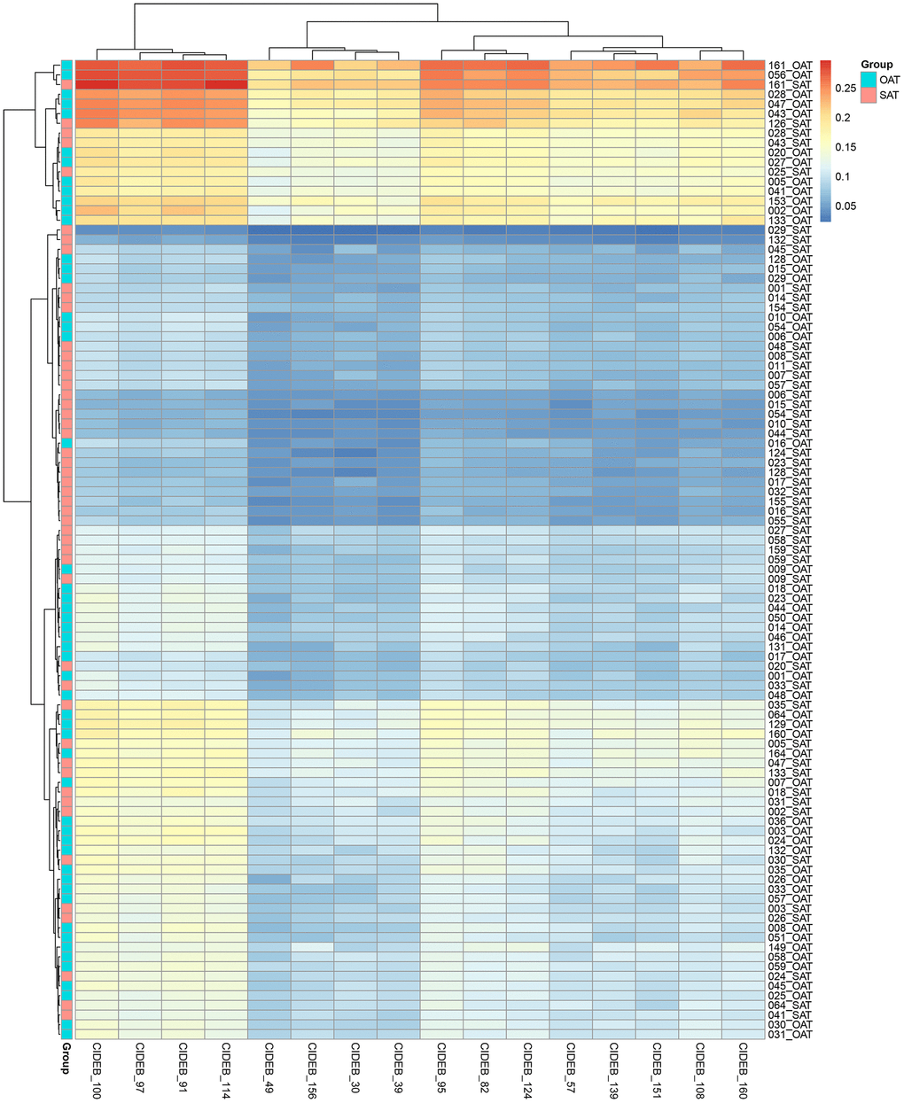 Methylation heatmap of CIDE-B gene promoter CpG sites.