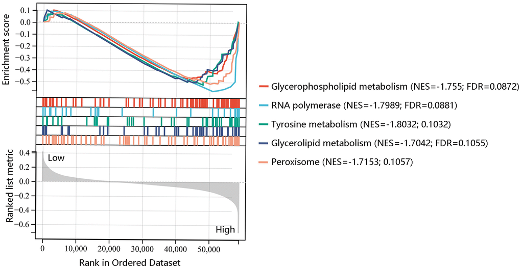 Gene set enrichment analysis of the five most significant pathways in high F12 expression phenotype.