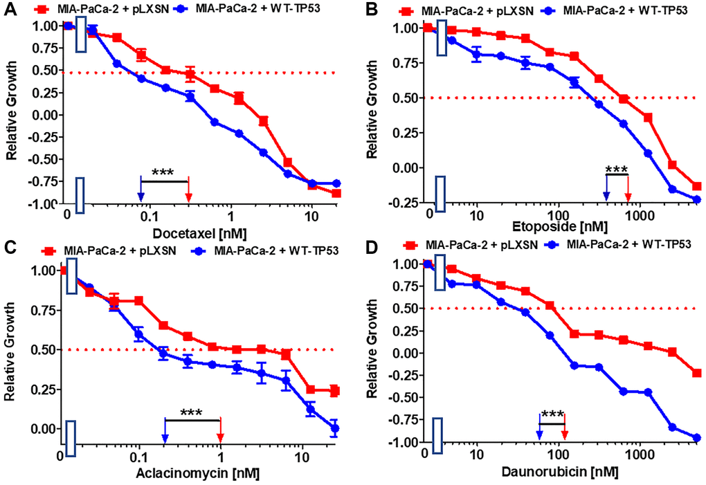 Effects of signal transduction inhibitors on the growth of MIA-PaCa-2 + WT-TP53 and MIA-PaCa-2 + pLXSN cells. The effects of docetaxel (A), etoposide (B) aclacinomycin (C) and daunorubicin (D) on MIA-PaCa-2 + pLXSN cells (solid red squares) and MIA-PaCa-2 + WT-TP53 cells (solid blue circles) were examined by MTT analysis. These experiments were repeated and similar results were obtained. Statistical analyses were performed by the Student T test on the means and standard deviations of various treatment groups. ***P 
