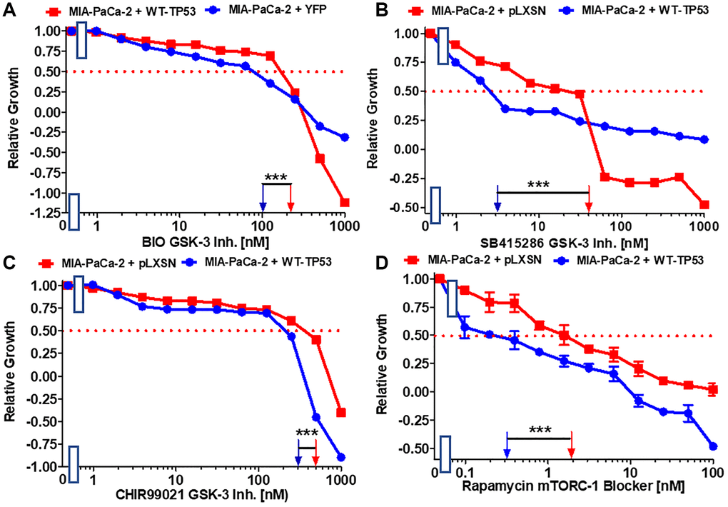 Effects of GSK-3 inhibitors and the mTORC1 blocker rapamycin on the growth of MIA-PaCa-2 + WT-TP53 and MIA-PaCa-2 + pLXSN cells. The effects of the BIO GSK-3 inhibitor (A), the SB415286 GSK-3 inhibitor (B), the CHIR99021 GSK-3 inhibitor (C) and the mTORC1 blocker rapamycin (D) on MIA-PaCa-2 + pLXSN cells (solid red squared) and MIA-PaCa-2 + WT-TP53 cells (solid blue circles) were examined by MTT analysis. The MIA-PaCa-2 + WT-TP53, and MIA-PaCa-2 + pLXSN cells in each panel were all examined at the same time period. These experiments were repeated and similar results were obtained. Statistical analyses were performed by the T test on the means and standard deviations of various treatment groups. ***P 