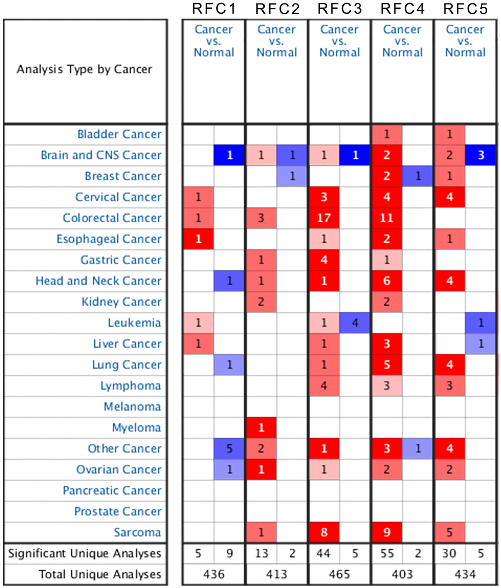 The transcription level of RFCs in patients with sarcoma.