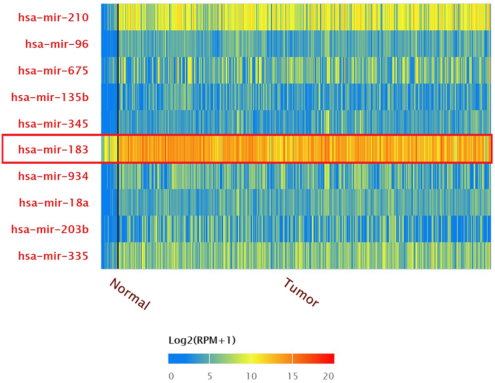 Top 10 over-expressed miRNAs in BLCA.