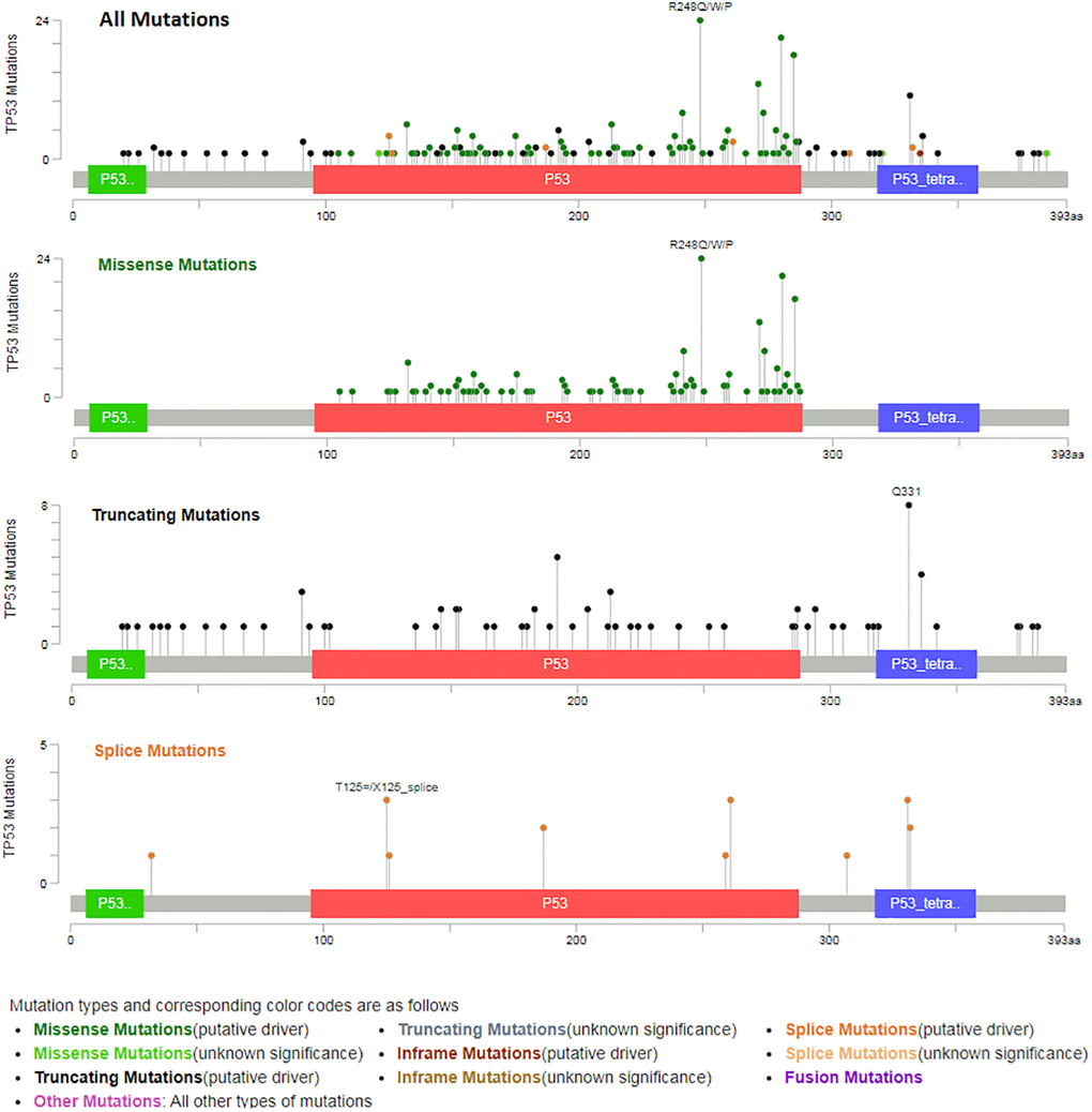 Types of TP53 mutation from bladder cancer (MSK/TCGA, 2020).