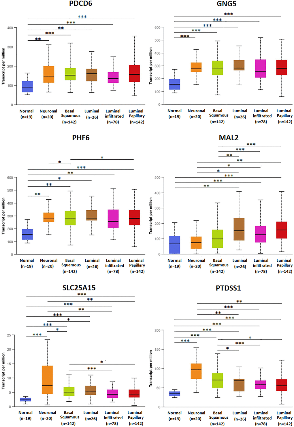 Relationship between mRNA expression of predicted target genes (PDCD6, GNG5, PHF6, MAL2, SLC25A15, PTDSS1) and BLCA molecular subtypes. (***P **P *P 