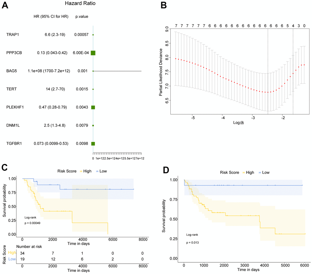 Construction of prognostic Risk score for OS patients. (A) Totally 7 genes were significantly related to the prognosis of OS. HR: Hazard ratio; 95% CI: 95% confidence interval. (B) The smallest lambda in LASSO Cox regression analysis was corresponding to the optimal number of genes. (C, D) Kaplan Meier survival curves of OS patients in GSE21257 and meta-GEO datasets, respectively. P was calculated based on log-rank test.