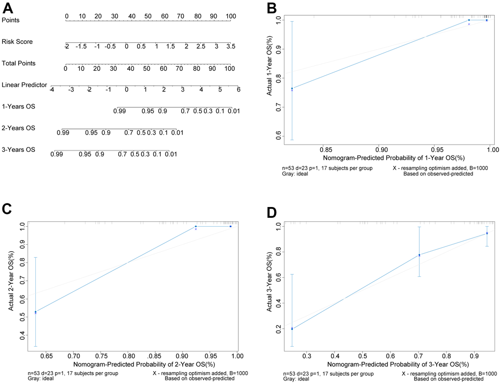 Nomogram could predict the survival probability of OS patients. (A) Nomogram could predict the 1-year, 2-year, and 3-year overall survival of OS patients. (B–D) The calibration curves of predicted survival probability of OS patients at 1, 2, and 3 years, separately. X-axis: predicted survival probability; Y-axis: actual survival probability.