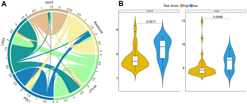 Correlation between key immune checkpoints and Risk score. (A) Risk score was correlated with immune checkpoints, CTLA4, PDL1, LAG3, and TDO2. (B) CTLA4 and LAG3 were significantly differentially expressed between high and low risk OS patients. P was calculated with Wilcoxon method.