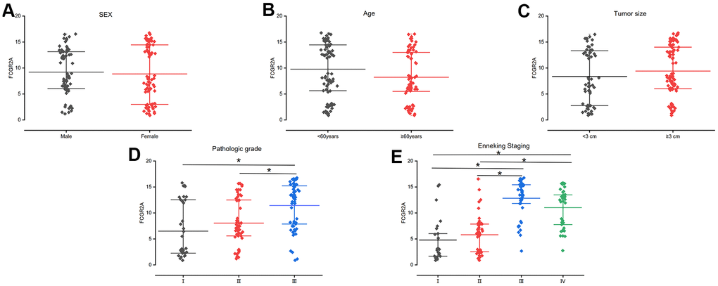 FCGR2A expression by different scatter plots in different groups. (A) Sex; (B) Age; (C) Tumor size; (D) Pathologic grade; (E) Enneking Staging. * represents that the P 