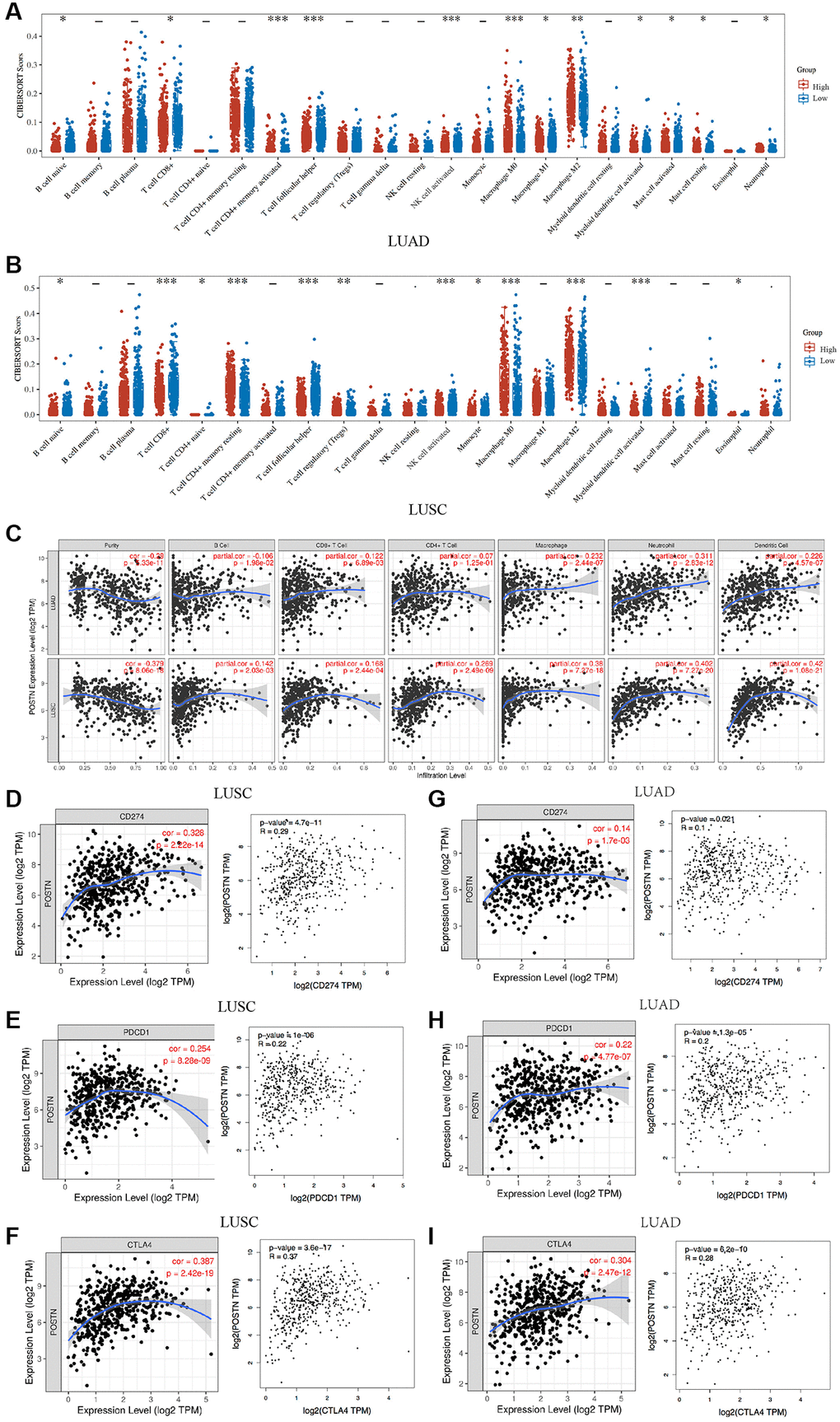 Correlation between POSTN expression and immune infiltration. The correlations between POSTN expression and immune cells infiltration in LUSC and LUAD (A and B). POSTN is significantly associated with cancer purity and positively correlates with the infiltration of different immune cells in LUAD and LUSC using the TIMER database (C). The correlations between POSTN expression and checkpoint in LUSC and LUAD, including CD274, PDCD1, and CTLA-4 (D–I). *p **p ***p 