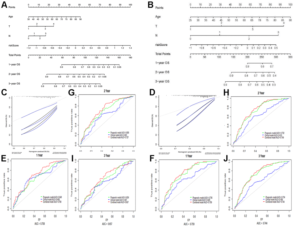 Building and validation of the nomogram predicting the OS of GC patients in TCGA-STAD and GSE84437 datasets. (A, B) Nomogram based on four independent prognostic factors of GC. (C, D) Calibration map for internal validation of the nomogram. (E–J) Time-dependent ROC curves of the nomogram for comparing the 1, 2, and 3 year OS of GC patients. Data in Figures (E, G, I) are derived from TCGA data, whereas those in Figures (F, H, J) are from the GSE84437 array.