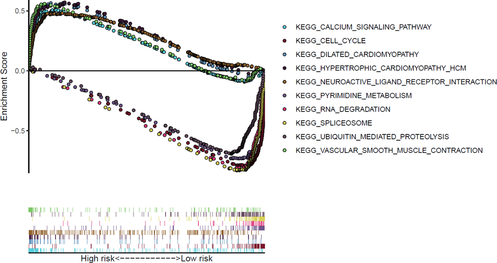 KEGG pathways in GSEA significantly enriched among differentially expressed genes from the TCGA data.