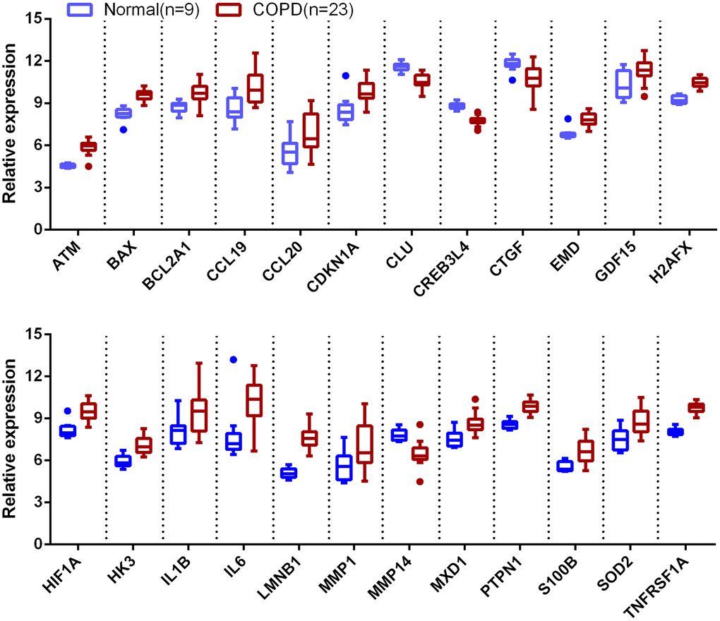 Boxplot of 24 aging-related genes in COPD and normal subjects. Data obtained from GSE38974 and presented as probe intensity.