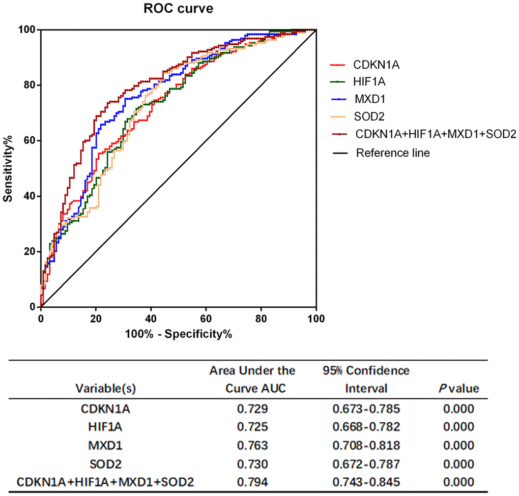 Performance characteristics of aging- and COPD-related genes in ROC curve analysis. ROC curve analysis of CDKN1A, HIF1A, MXD1, and SOD2 alone and in combination.