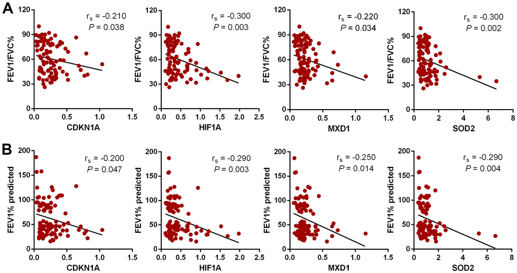 The relationship between 4 aging- and COPD-related genes and lung function by Spearman rank correlation analysis. (A) Correlation between candidate genes and FEV1/FVC%. (B) Correlation between candidate genes and FEV1% predicted.