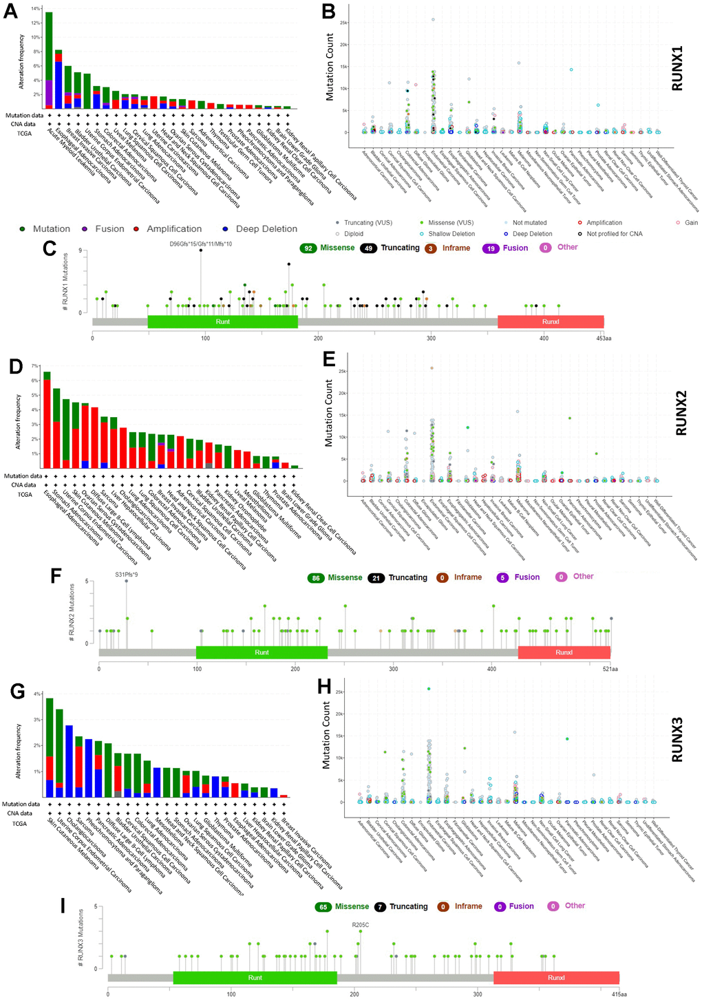 RUNX gene family gene mutation landscape. The mutation frequency (A), general mutation count (B), and mutation diagram (C) of RUNX1 in multiple TCGA pan-cancer studies according to the cBioPortal database. The mutation frequency (D), general mutation count (E), and mutation diagram (F) of RUNX2 in multiple TCGA pan-cancer studies according to the cBioPortal database. The mutation frequency (G), general mutation count (H), and mutation diagram (I) of RUNX3 in multiple TCGA pan-cancer studies according to the cBioPortal database.