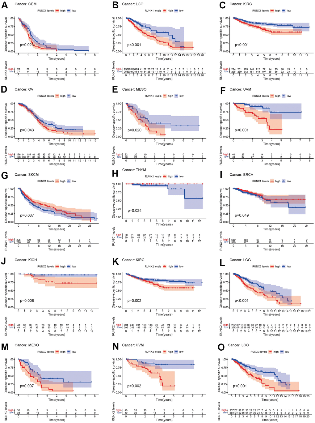 Kaplan–Meier survival curves comparing pan-cancer high and low expression of RUNX gene family genes. DSS survival curves for RUNX1 in different cancers: (A) GBM, (B) LGG, (C) KIRC, (D) OV, (E) MESO, (F) UVM, (G) SKCM, (H) THYM, (I) BRCA. DSS survival curves for RUNX2 in different cancers: (J) KICH, (K) KIRC, (L) LGG, (M) MESO, (N) UVM. DSS survival curves for RUNX3 in different cancers: (O) LGG.