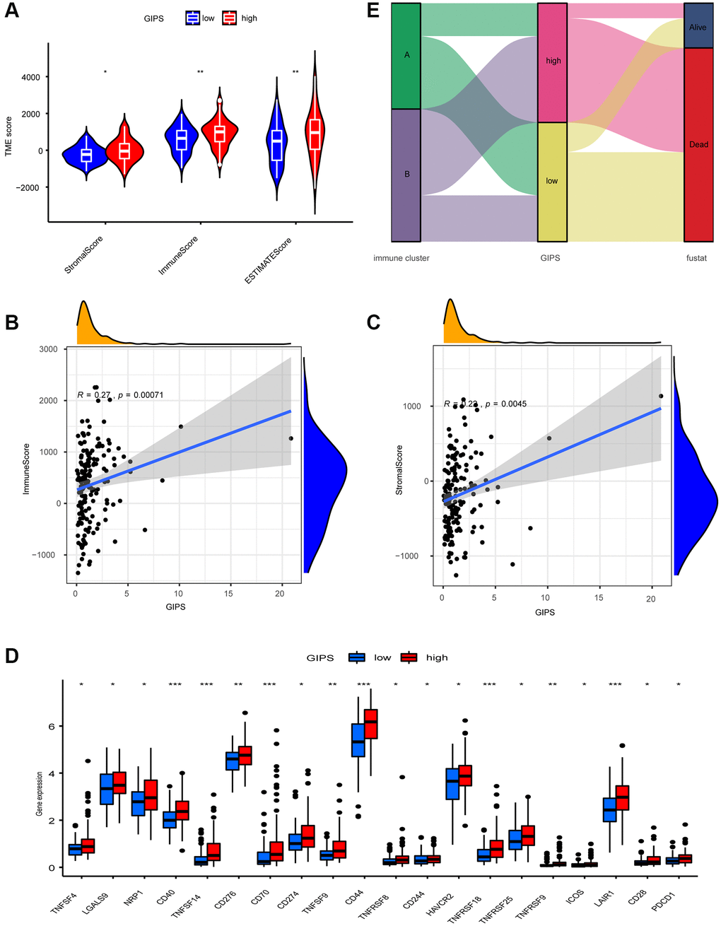 TME Characterization of distinct GIPS subgroups. (A) TME scores of the distinct GIPS subgroups. (B) Spearman correlation analysis of GIPS scores with immune scores. R = 0.27, P ≤ 0.001. (C) Spearman correlation analysis of GIPS scores with stromal scores. R = 0.22, P ≤ 0.01. (D) Differential analysis of expression of immune checkpoints in the different GIPS subgroups. (E) Alluvial diagram of GBM patient immune cluster and GIPS.
