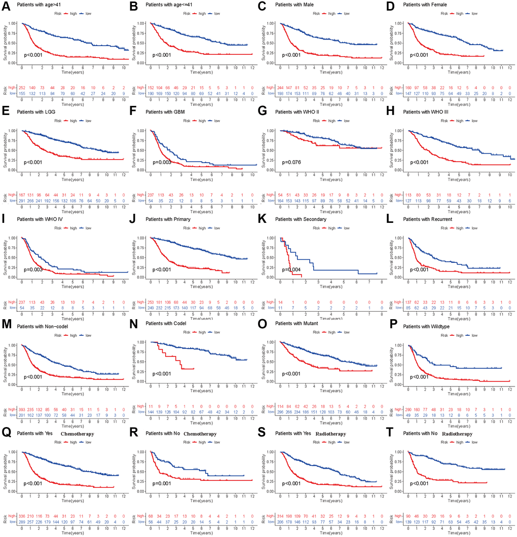 Stratified analyses of established HDAC-related genes prognostic model in TCGA. (A and B) Age (>41 vs. ≤41). (C and D) Gender (male vs. female). (E and F) Histology (LGG vs. GBM). (G–I) WHO stage (II, III and IV). (J–L) Type of tumors (Primary, secondary vs. recurrent). (M and N) 1p19q (Non-codel and codel). (O and P) mutant and wildtype. (Q and R) Radiotherapy (Yes vs. No). (S and T) Chemotherapy (Yes vs. No).