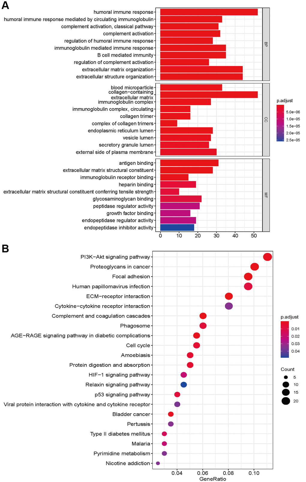 GO enrichment (A) and KEGG pathways analysis (B) based on differently expressed genes between high- and low risk groups.