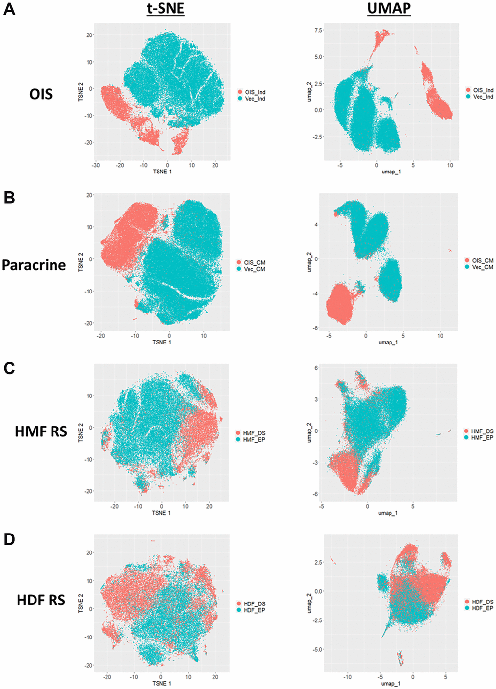 t-SNE and UMAP profiles for single target morphological profiles. (A–D) t-SNE and UMAP plots for oncogene-induced senescence (OIS), paracrine senescence (Paracrine), HMF replicative senescence (HMF RS) and HDF replicative senescence (HDF RS) models. Proliferating conditions (Blue): vector induction (Vec