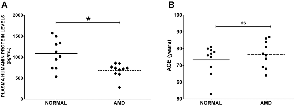 Humanin levels in plasma. (A) Humanin protein level was measured using ELISA assay. AMD patients had significantly reduced levels of Humanin protein compared to normal (control) subjects. (B) The difference in mean ages between normal subjects vs. AMD patients was non-significant. Data are presented as mean ± SEM. * P