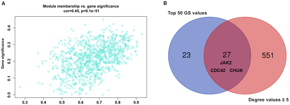 (A) Association between gene significance and module membership. Scatterplot shows a highly significant correlation between gene significant (GS) versus module membership (MM) with AMI in the turquoise module. (B) key genes with top 50 GS values and they degree values ≥ 5 were defined by Venn diagram.