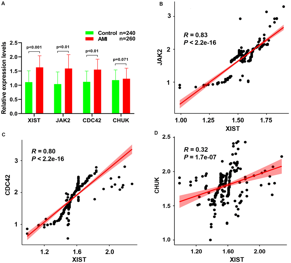 (A) The relative expression levels of JAK2, CDC42, CHUK genes and lncRNA XIST between healthy controls and AMI samples. The correlation between the expression levels of lncRNA XIST and JAK2 (B), CDC42 (C) and CHUK (D) genes that were analyzed by Pearson correlation analysis.