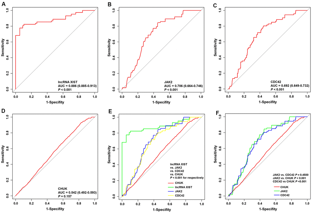 ROC curve analyses of one lncRNA and three genes for the diagnosis of AMI. (A–D) ROC curve analysis of lncRNA XIST, JAK2, CDC42 and CHUK genes. (E, F) The pairwise P-value comparison.