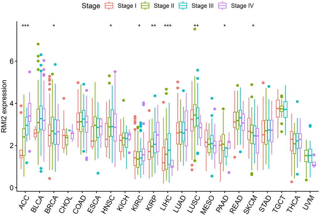 The correlations between RMI2 expression and pathological stages in various cancers.