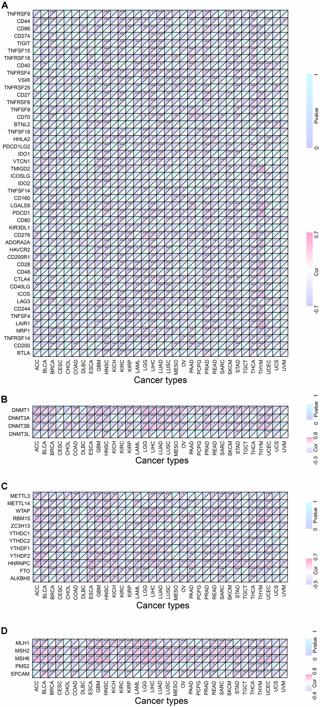 Co-expression of RMI2 with certain specific genes in 33 tumor types. (A) Co-expression of RMI2 with ICP related genes. (B) Co-expression of RMI2 with DNA methyltransferases. (C) Co-expression of RMI2 with m6A related genes. (D) Co-expression of RMI2 with MMRs genes.