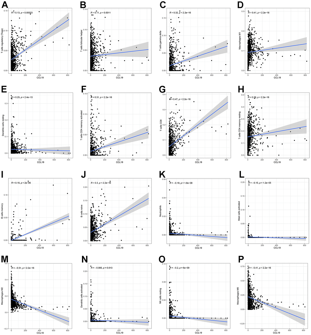 Scatter plots indicated the correlation between 16 TICs and the expression of CCL19, p (A) The correlation between Tregs and the expression of CCL19; (B) The correlation between T cells follicular helper and the expression of CCL19; (C) The correlation between T cells gamma delta and the expression of CCL19; (D) The correlation between Macrophages M1 and the expression of CCL19; (E) The correlation between Dendritic cells resting and the expression of CCL19; (F) The correlation between T cells CD4 memory activated and the expression of CCL19; (G) The correlation between T cells CD8 and the expression of CCL19; (H) The correlation between T cells CD4 memory resting and the expression of CCL19; (I) The correlation between B cells memory and the expression of CCL19; (J) The correlation between B cells naive and the expression of CCL19; (K) The correlation between Neutrophils and the expression of CCL19; (L) The correlation between Mast cells activated and the expression of CCL19; (M) The correlation between Macrophages M2 and the expression of CCL19; (N) The correlation between Dendritic cells activated and the expression of CCL19; (O) The correlation between NK cells resting and the expression of CCL19; (P) The correlation between Macrophages M0 and the expression of CCL19.
