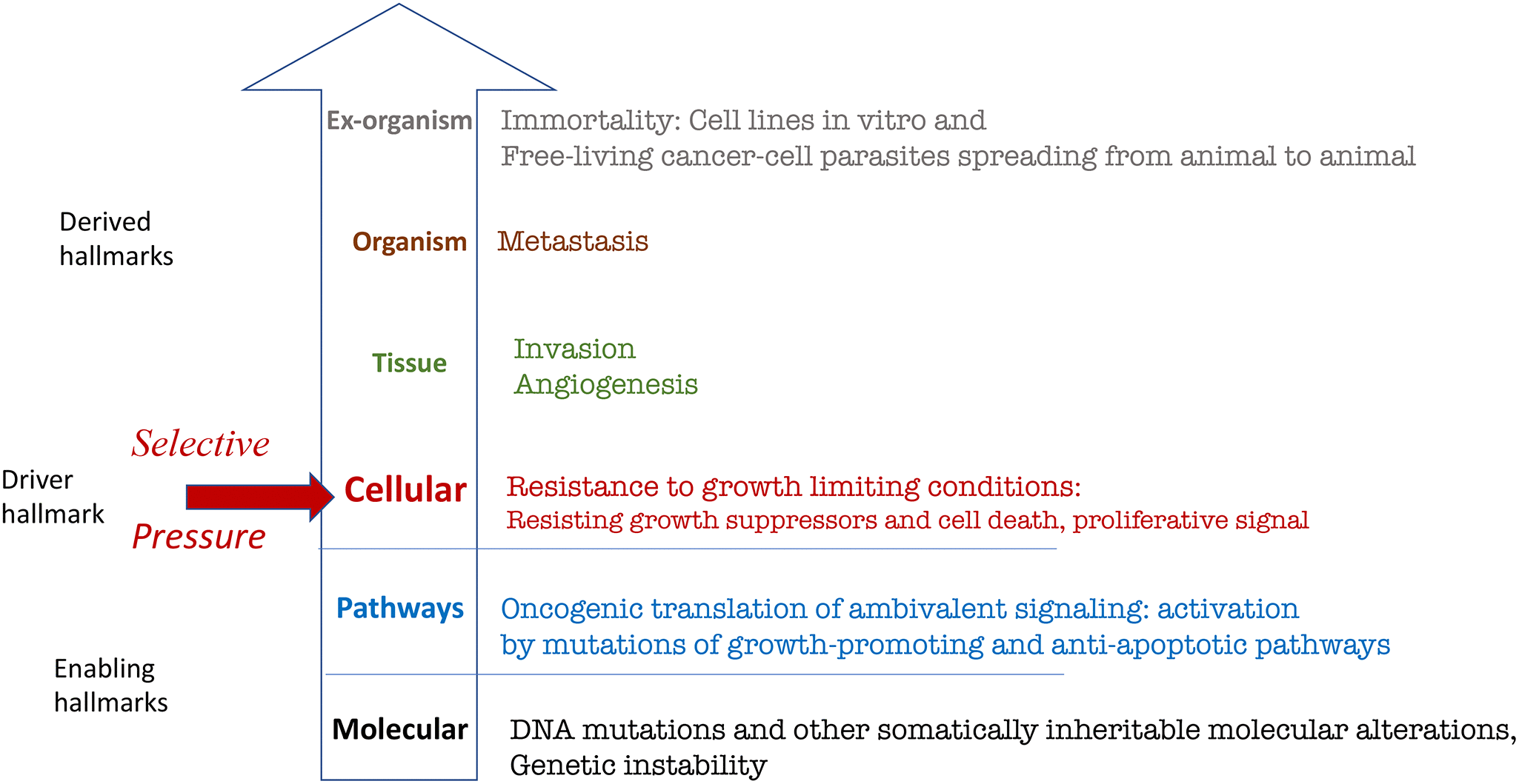 class="figure-viewer-img"