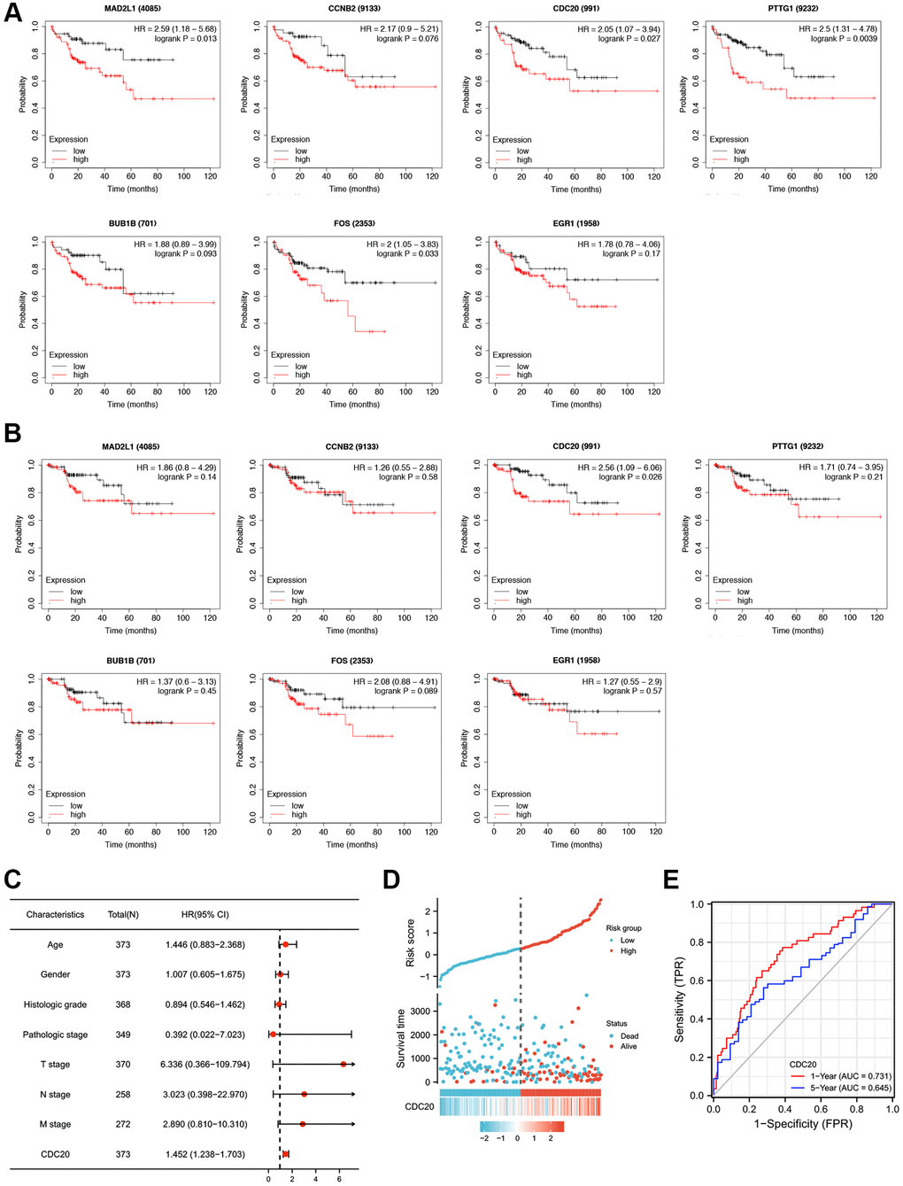 Prognostic values of seven HTLV-1 infection-associated genes including CDC20 in HCC. (A and B) Kaplan-Meier analysis of Overall Survival (OS) (A) and Disease Specific Survival (DSS) (B) in patients with differential expression of each HTLV-1 associated gene. (C) The forest figure revealed the multivariate Cox analysis of CDC20 expression and other clinicopathological variables. (D) CDC20 expression distribution and survival status. (E) ROC curves of CDC20.