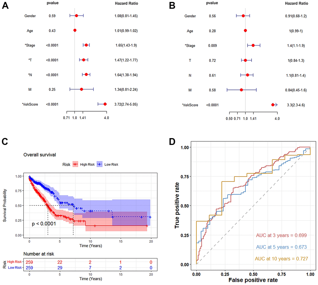 Autophagy-related genetic markers were significantly associated with survival of lung adenocarcinoma. (A) Univariate Cox risk regression analysis: forest plot of the association between risk factors and LUAD survival. (B) Multivariate Cox risk regression analysis: autophagy-related gene markers were independent predictors of TCGA-LUAD. (C) Kaplan-Meier analysis of the TCGA-LUAD cohort was significantly stratified by median risk. A high-risk score was significantly associated with poor survival in the TCGA-LUAD cohort. (D) Accuracy of the Time-Roc curve in predicting 3-year, 5-year, and 10-year survival in the TCGA-LUAD cohort.